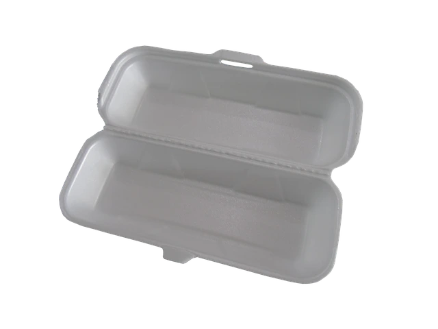 Removal of Styrofoam Trays in Schools: Our Fellow YEL Member's
